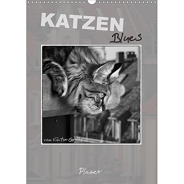 Katzen Blues / Planer (Wandkalender 2023 DIN A3 hoch), Viktor Gross