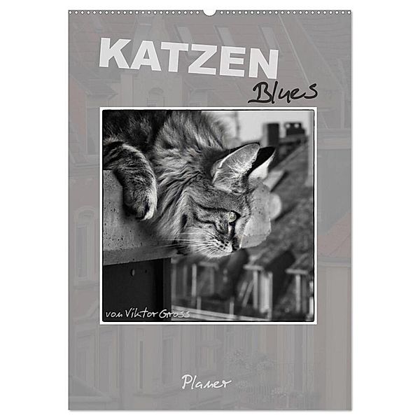 Katzen Blues / Planer (Wandkalender 2024 DIN A2 hoch), CALVENDO Monatskalender, Viktor Gross