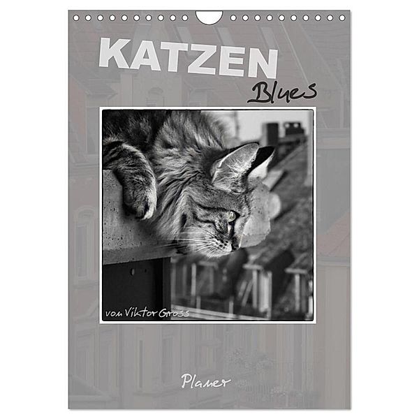 Katzen Blues / Planer (Wandkalender 2024 DIN A4 hoch), CALVENDO Monatskalender, Viktor Gross