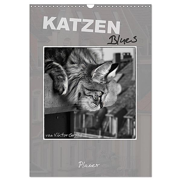 Katzen Blues / Planer (Wandkalender 2025 DIN A3 hoch), CALVENDO Monatskalender, Calvendo, Viktor Gross