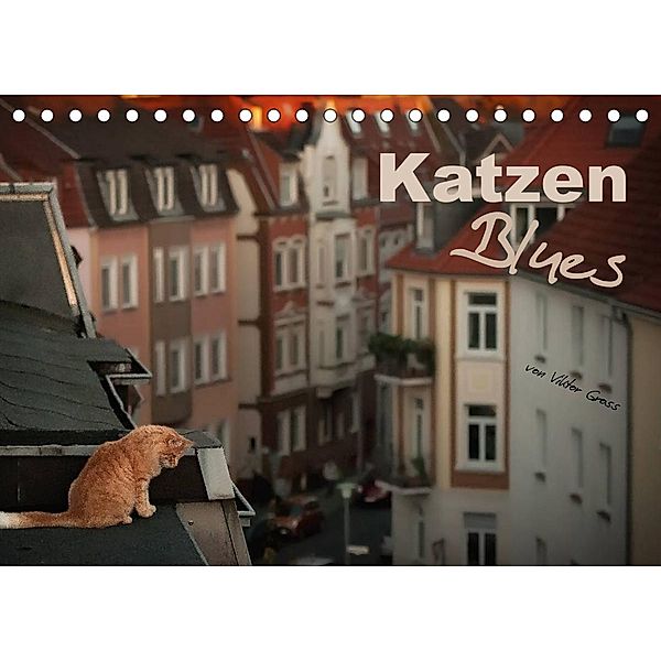 Katzen Blues (Tischkalender 2023 DIN A5 quer), Viktor Gross