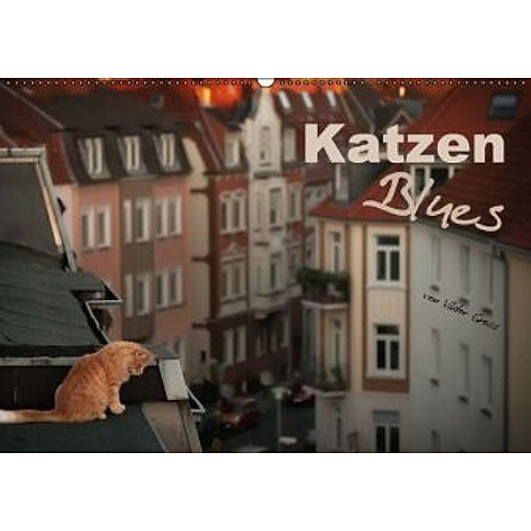 Katzen Blues (Wandkalender 2015 DIN A2 quer), Viktor Gross
