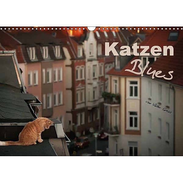 Katzen Blues (Wandkalender 2018 DIN A3 quer), Viktor Gross