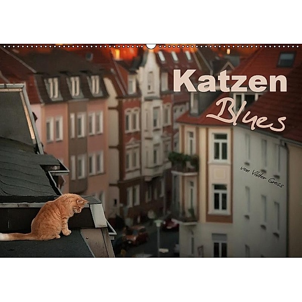 Katzen Blues (Wandkalender 2019 DIN A2 quer), Viktor Gross
