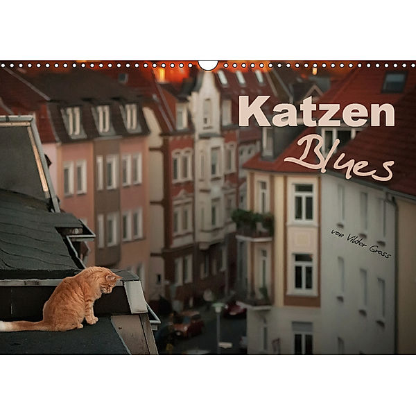Katzen Blues (Wandkalender 2019 DIN A3 quer), Viktor Gross