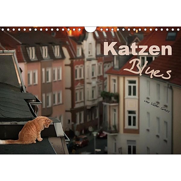 Katzen Blues (Wandkalender 2021 DIN A4 quer), Viktor Gross