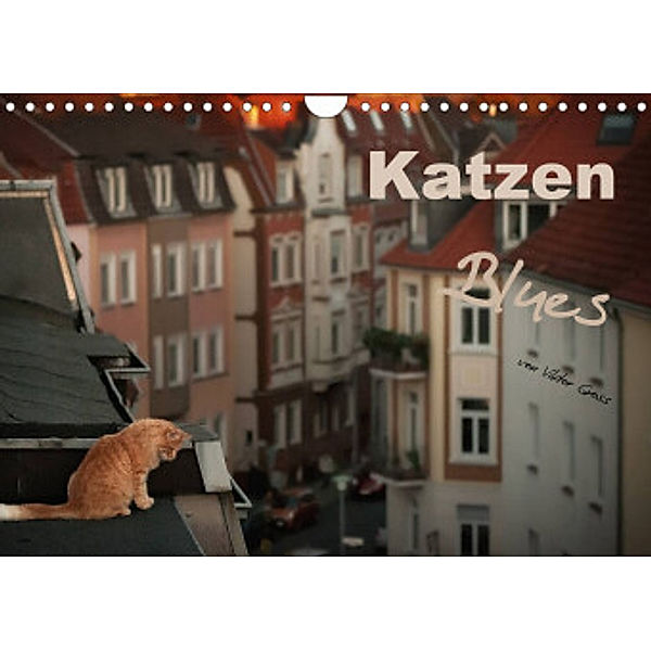 Katzen Blues (Wandkalender 2022 DIN A4 quer), Viktor Gross