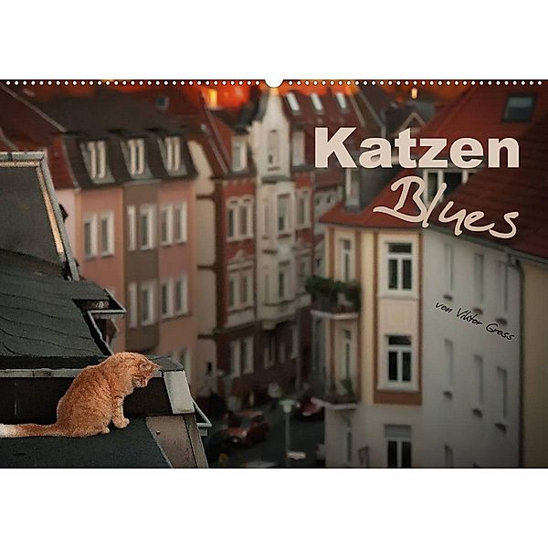 Katzen Blues (Wandkalender 2023 DIN A2 quer), Viktor Gross