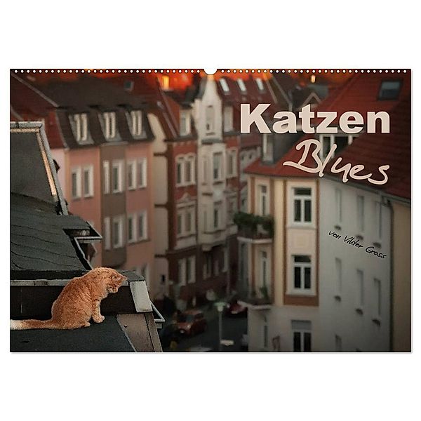 Katzen Blues (Wandkalender 2024 DIN A2 quer), CALVENDO Monatskalender, Viktor Gross