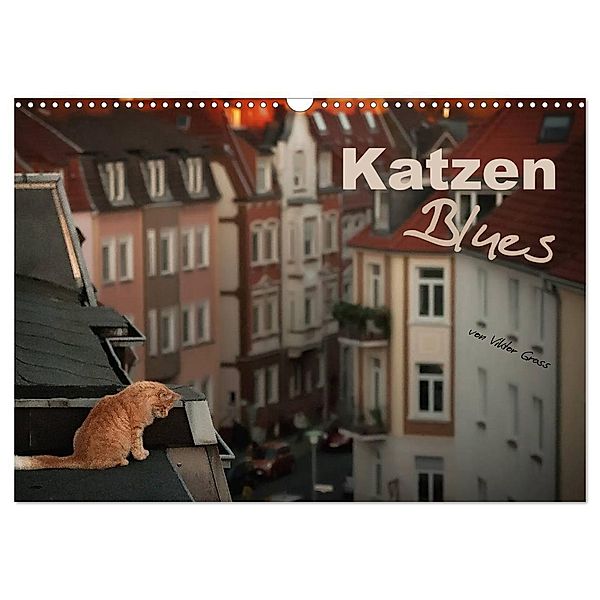 Katzen Blues (Wandkalender 2024 DIN A3 quer), CALVENDO Monatskalender, Viktor Gross