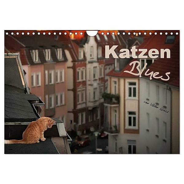 Katzen Blues (Wandkalender 2024 DIN A4 quer), CALVENDO Monatskalender, Viktor Gross