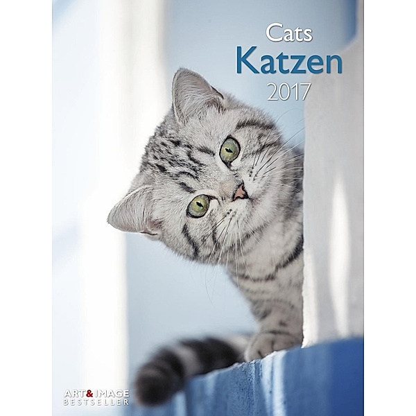 Katzen / Cats 2017