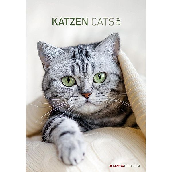 Katzen / Cats 2017, ALPHA EDITION