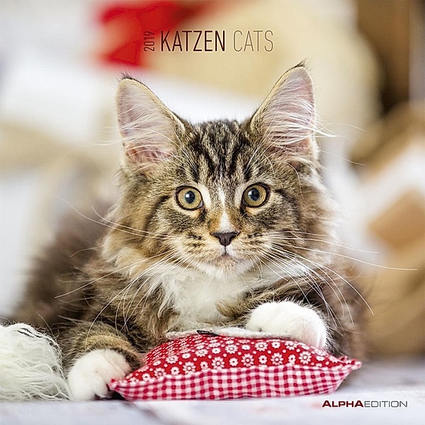 Katzen / Cats 2019, ALPHA EDITION