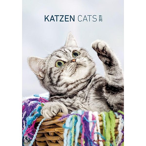 Katzen / Cats 2019, ALPHA EDITION