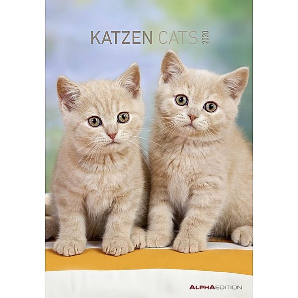 Katzen / Cats 2020, ALPHA EDITION