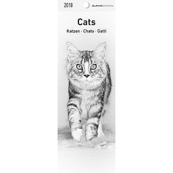 Katzen / Cats / Chats / Gatti 2018