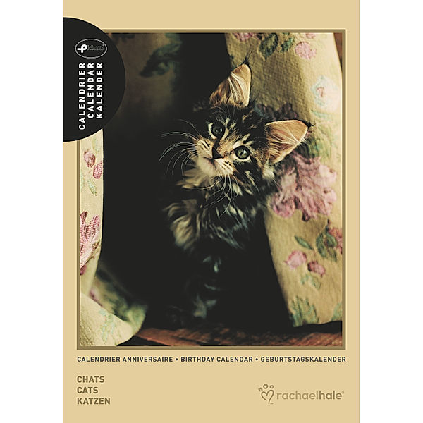 Katzen / Chats / Cats, Geburtstagskalender, Rachael Hale