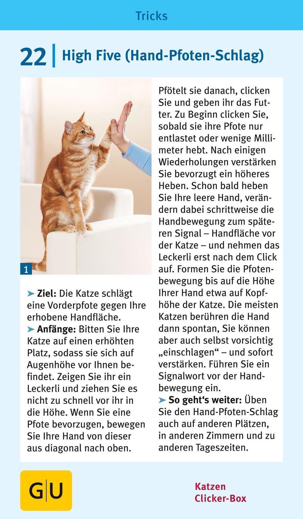 Katzen-Clicker-Box Buch von Birgit Rödder versandkostenfrei - Weltbild.at