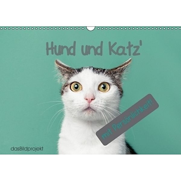 Katzen - dasBildprojekt (Wandkalender 2017 DIN A3 quer), Sandra Meyer - dasBildprojekt