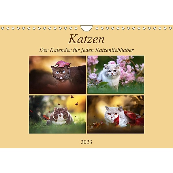 Katzen - Der Kalender für jeden Katzenliebhaber (Wandkalender 2023 DIN A4 quer), Janina Bürger