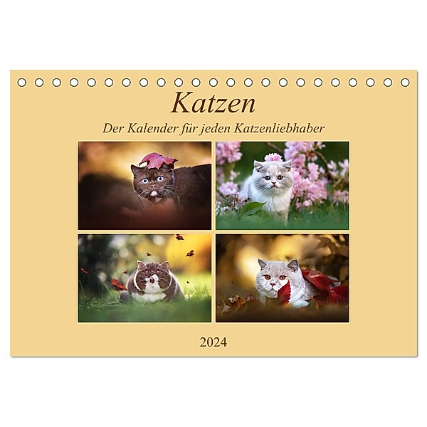 Katzen - Der Kalender für jeden Katzenliebhaber (Tischkalender 2024 DIN A5 quer), CALVENDO Monatskalender, Janina Bürger