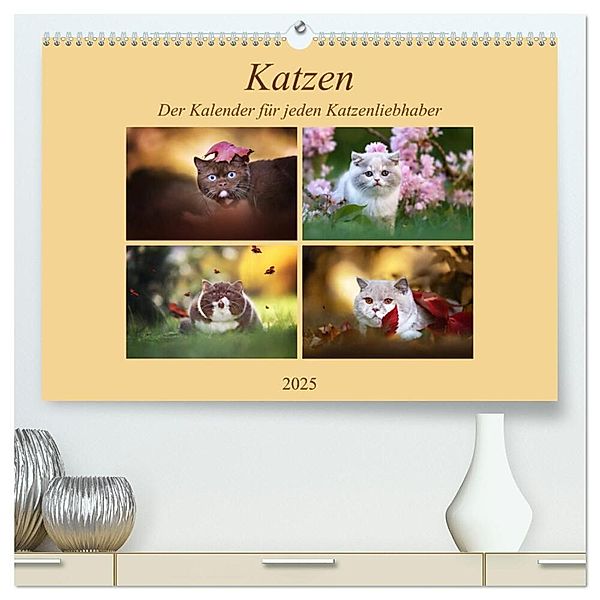 Katzen - Der Kalender für jeden Katzenliebhaber (hochwertiger Premium Wandkalender 2025 DIN A2 quer), Kunstdruck in Hochglanz, Calvendo, Janina Bürger