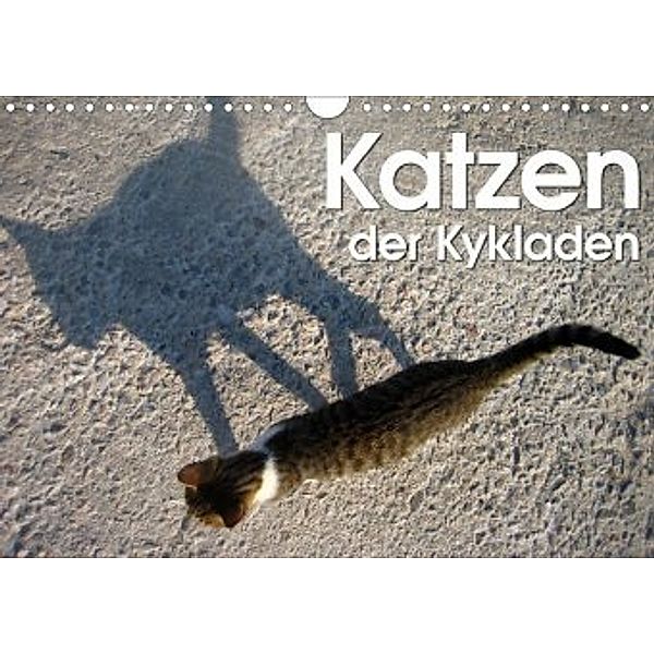 Katzen der Kykladen (Wandkalender 2020 DIN A4 quer), Silvia Kraemer