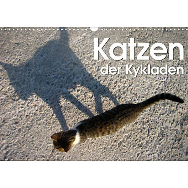 Katzen der Kykladen (Wandkalender 2022 DIN A3 quer), Silvia Kraemer