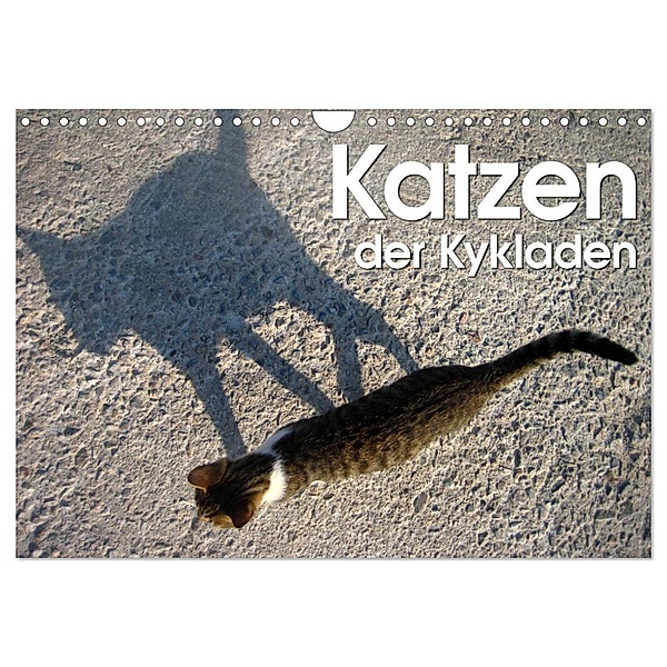 Katzen der Kykladen (Wandkalender 2024 DIN A4 quer), CALVENDO Monatskalender, Silvia Kraemer