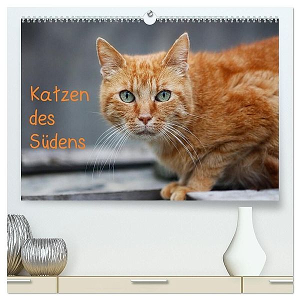 Katzen des Südens (hochwertiger Premium Wandkalender 2024 DIN A2 quer), Kunstdruck in Hochglanz, Claudia Möckel / Lucy L!u
