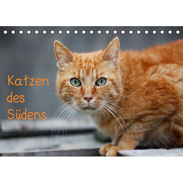 Katzen des Südens (Tischkalender 2022 DIN A5 quer), Claudia Möckel / Lucy L!u