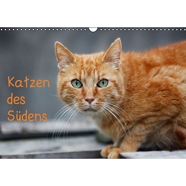 Katzen des Südens (Wandkalender 2015 DIN A3 quer), Claudia Möckel