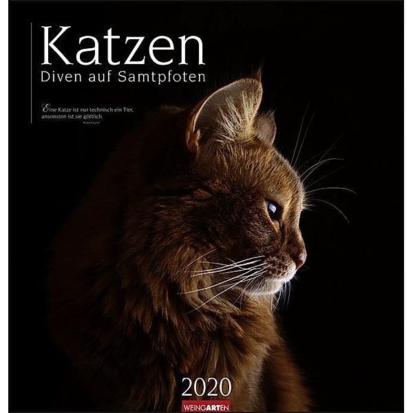 Katzen - Diven auf Samtpfoten 2021