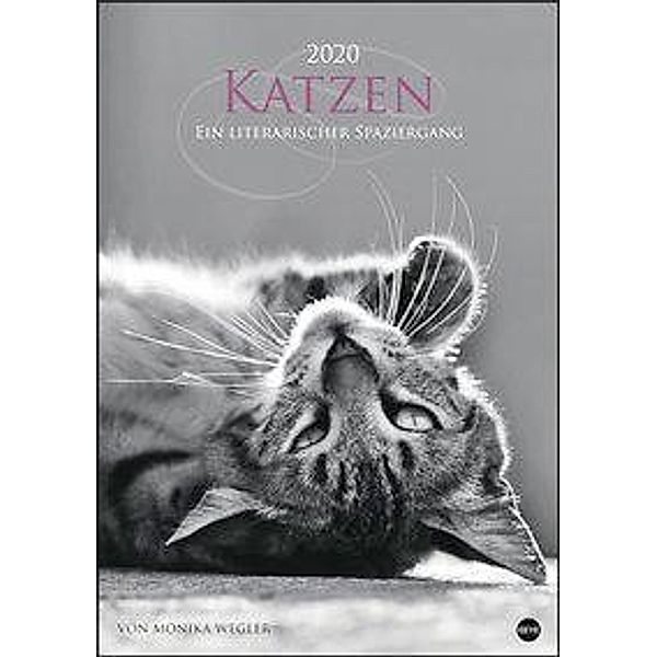 Katzen - Ein literarischer Spaziergang 2020, Monika Wegler