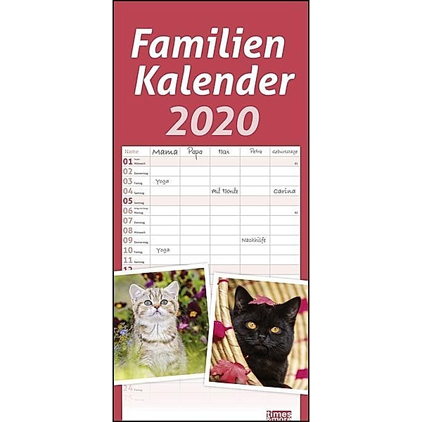 Katzen Familienkalender 2020