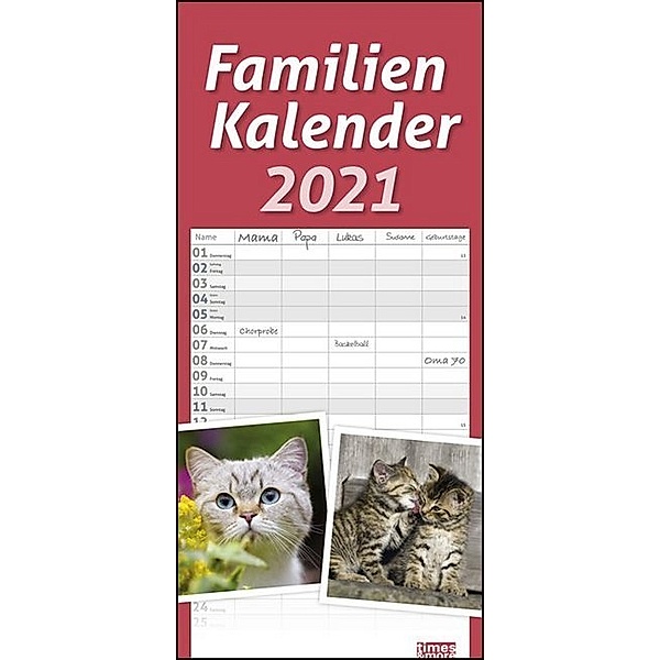 Katzen Familienkalender 2021