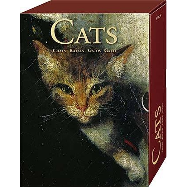 Katzen, Grußkarten-Box 60tlg.
