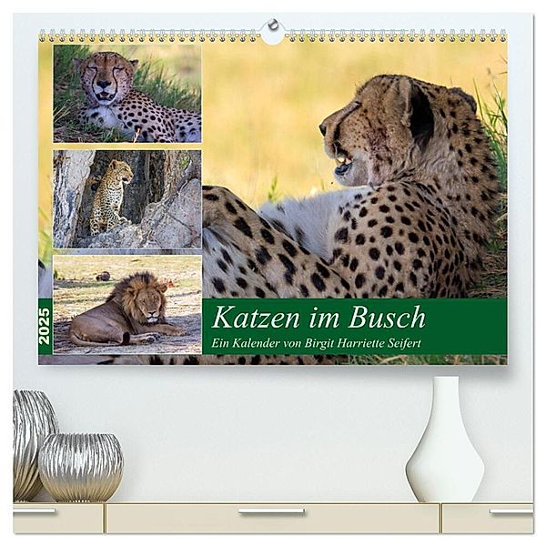 Katzen im Busch (hochwertiger Premium Wandkalender 2025 DIN A2 quer), Kunstdruck in Hochglanz, Calvendo, Birgit Harriette Seifert