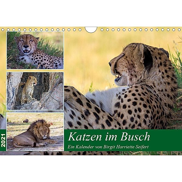 Katzen im Busch (Wandkalender 2021 DIN A4 quer), Birgit Harriette Seifert