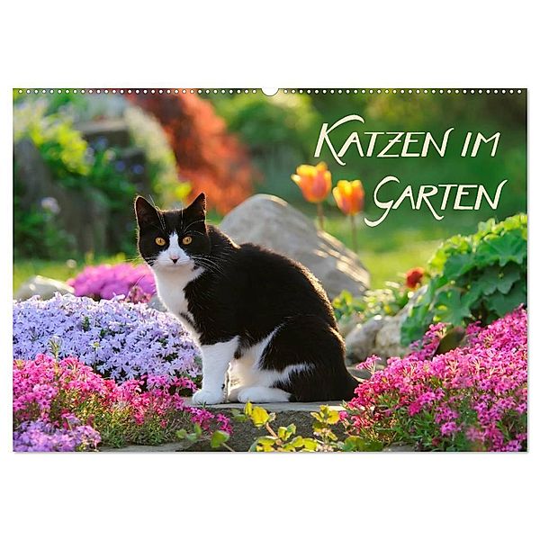 Katzen im Garten (Wandkalender 2024 DIN A2 quer), CALVENDO Monatskalender, Katho Menden