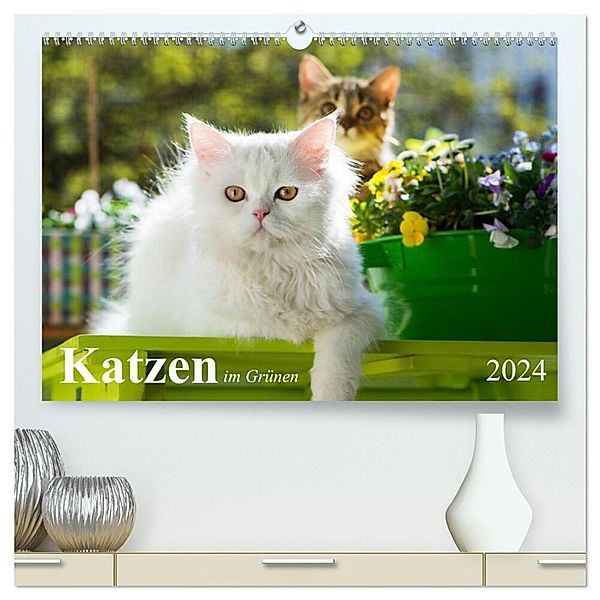 Katzen im Grünen (hochwertiger Premium Wandkalender 2024 DIN A2 quer), Kunstdruck in Hochglanz, Judith dzierzawa