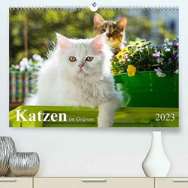Katzen im Grünen (Premium, hochwertiger DIN A2 Wandkalender 2023, Kunstdruck in Hochglanz), Judith dzierzawa