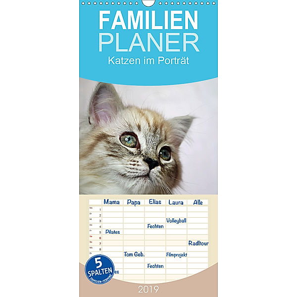 Katzen im Porträt / Geburtstagskalender - Familienplaner hoch (Wandkalender 2019 , 21 cm x 45 cm, hoch), Jennifer Chrystal