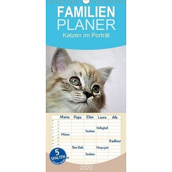 Katzen im Porträt / Geburtstagskalender - Familienplaner hoch (Wandkalender 2020 , 21 cm x 45 cm, hoch), Jennifer Chrystal