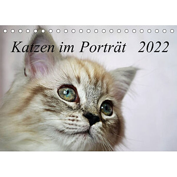 Katzen im Porträt / Geburtstagskalender (Tischkalender 2022 DIN A5 quer), Jennifer Chrystal