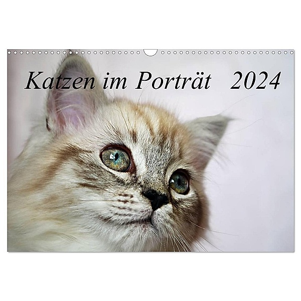 Katzen im Porträt / Geburtstagskalender (Wandkalender 2024 DIN A3 quer), CALVENDO Monatskalender, Jennifer Chrystal