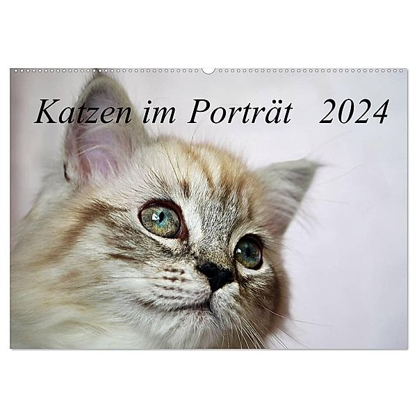 Katzen im Porträt / Geburtstagskalender (Wandkalender 2024 DIN A2 quer), CALVENDO Monatskalender, Jennifer Chrystal