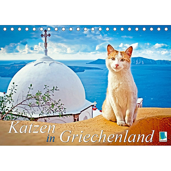 Katzen in Griechenland (Tischkalender 2019 DIN A5 quer), CALVENDO
