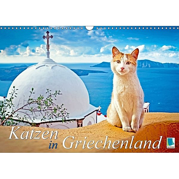 Katzen in Griechenland (Wandkalender 2018 DIN A3 quer), Calvendo